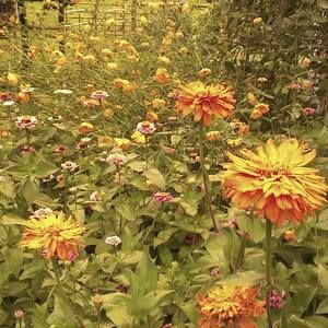 Meet your Posher, Justin n crystal